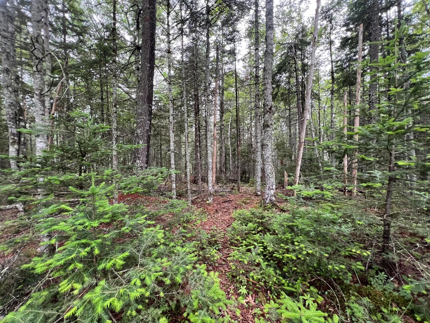 Lot 3 Bluff Road Bar Harbor 1