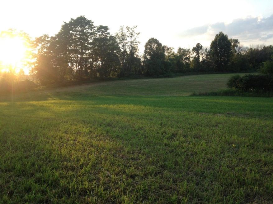 McCabe Pic 1