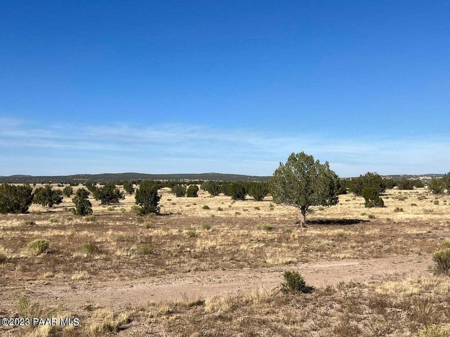 Ne4 117 Juniperwood Ranch, Ash Fork, AZ 86320 - photo 1