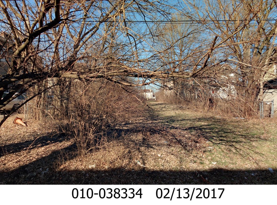 010-038334P1