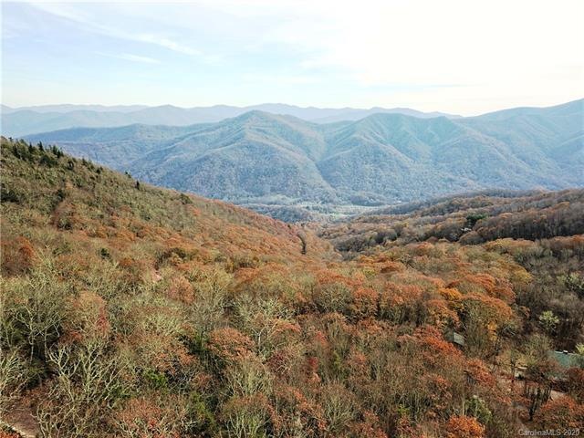 Drone photo with estimated view in front of trees at street level
