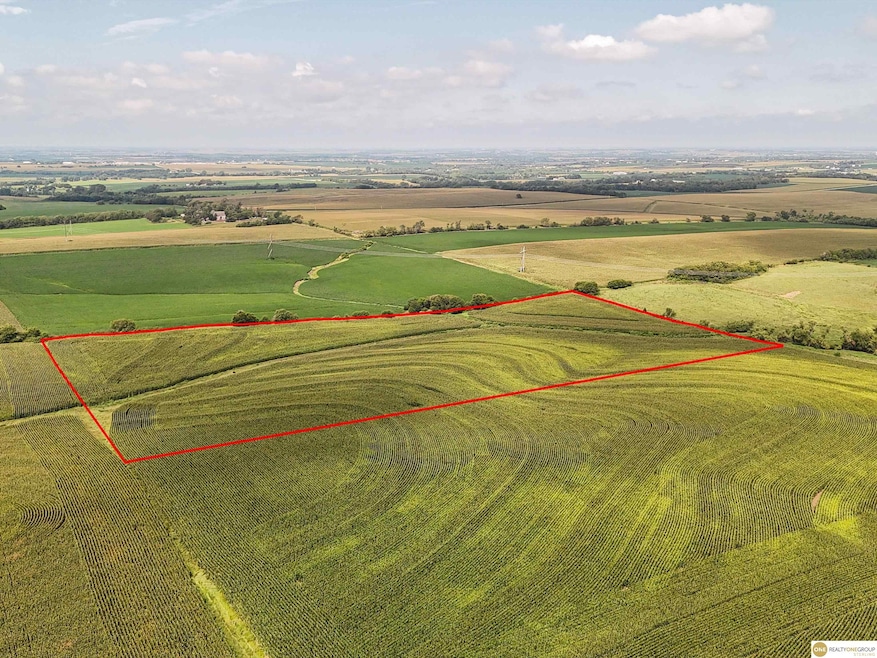 TBD Tbd, Murdock, NE 68407 - photo 1