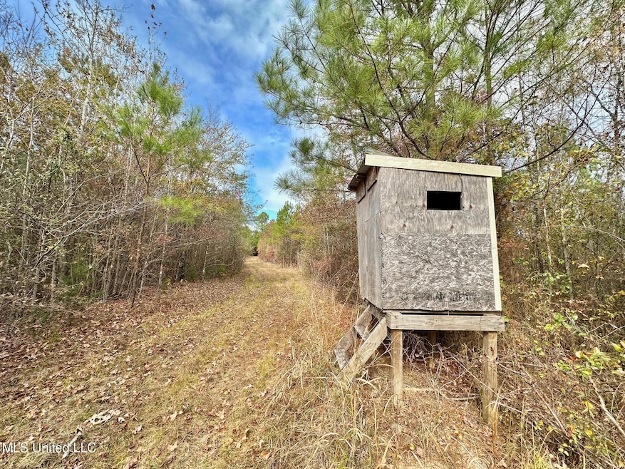 2 County Road 3122, McCool, MS 39108 - photo 1
