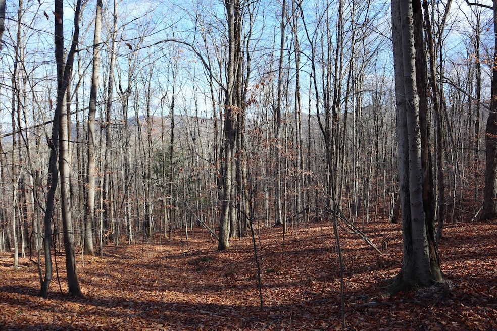 423 Hadley Rd, Stony Creek, NY 12878 - photo 1