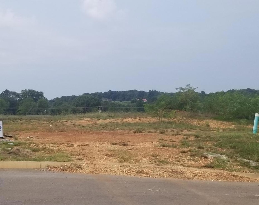 12509 Tangle Crest Ln, Knoxville, TN 37932 - photo 1