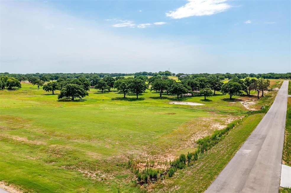 1024 Bluebonnet Ridge, Weatherford, TX 76087 - photo 1