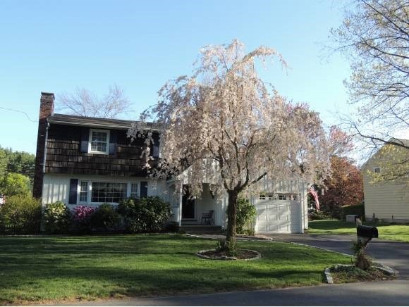 13 Royal Oak Dr, Nashua, NH 03064 - photo 1