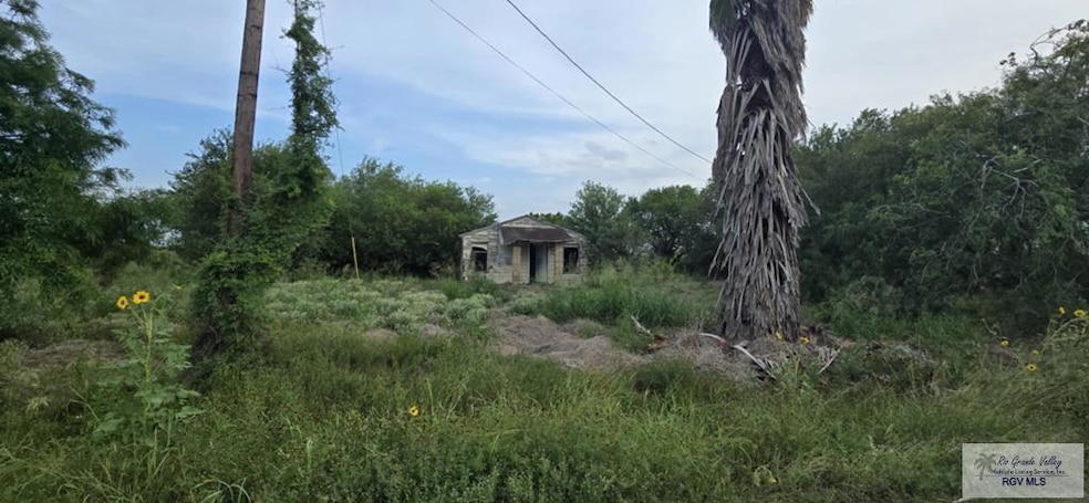 Main View
