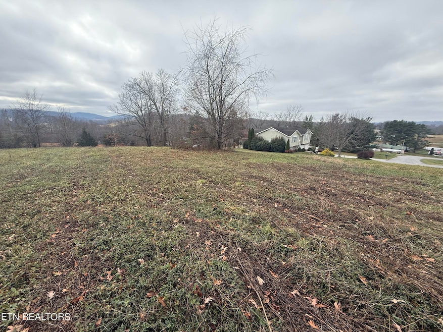 Lot #3 Oak Point Dr, Jonesville, VA 24263 - photo 1