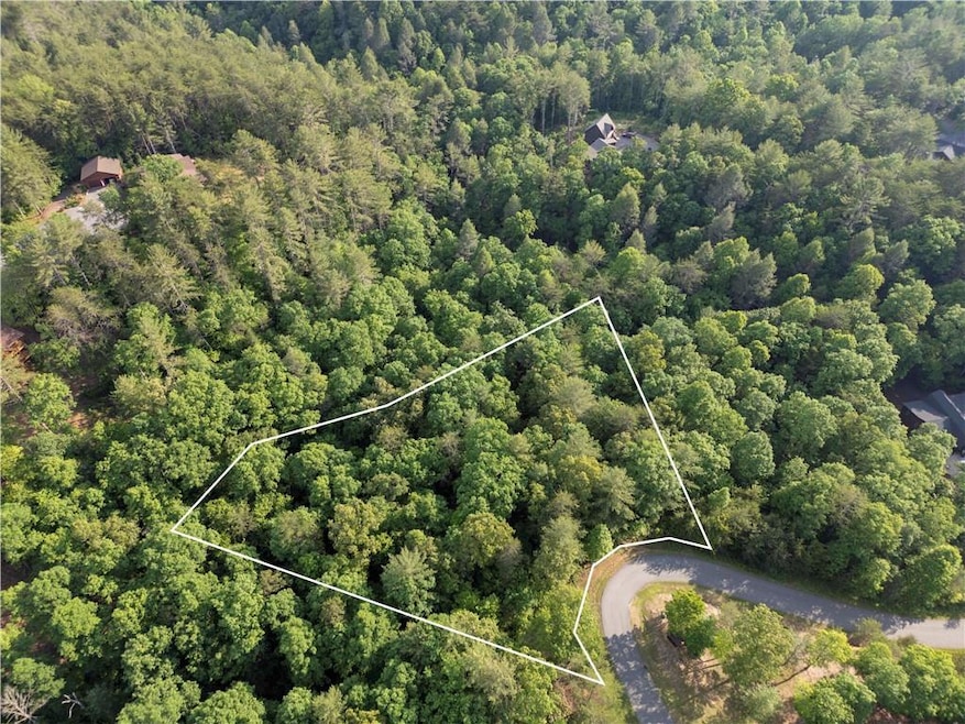 View of aerial view