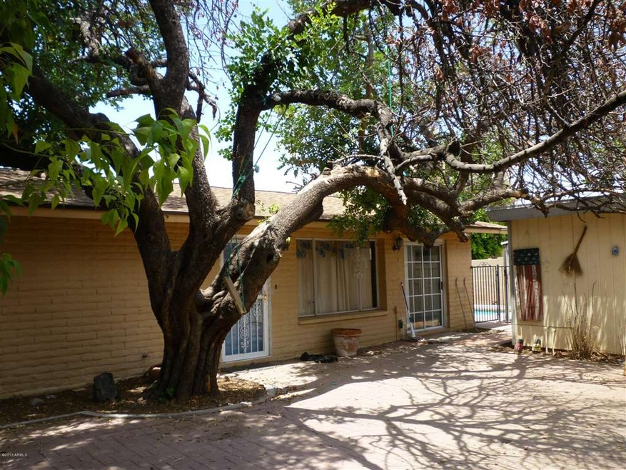 Large tree in courtyard