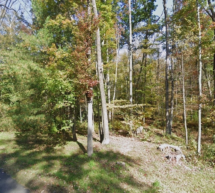 0 Alum Hill unit 73415610, Sheffield, MA 01257 - photo 1