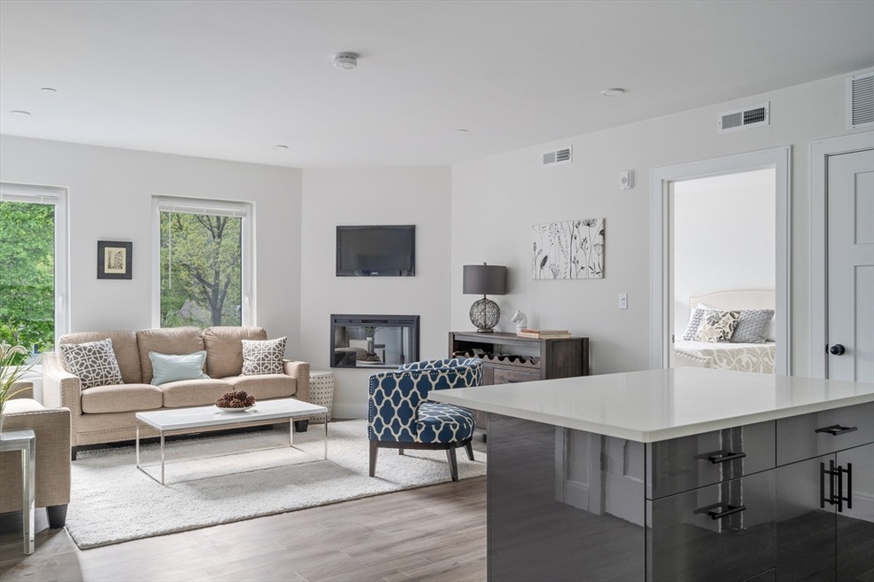 317 Belgrade Ave unit 207, Roslindale, MA 02131 - photo 1