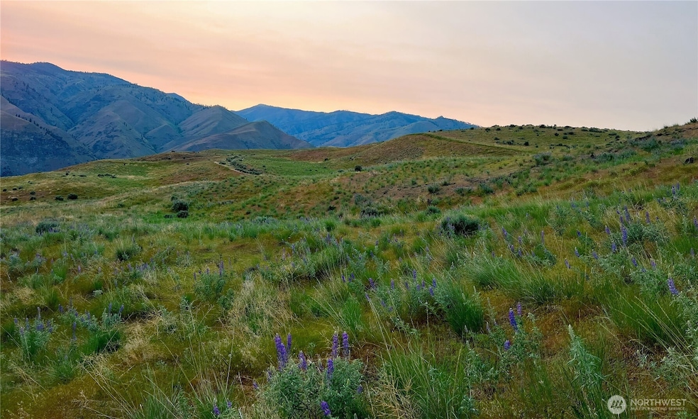 6 Blue Grade Rd, East Wenatchee, WA 98802 - photo 1