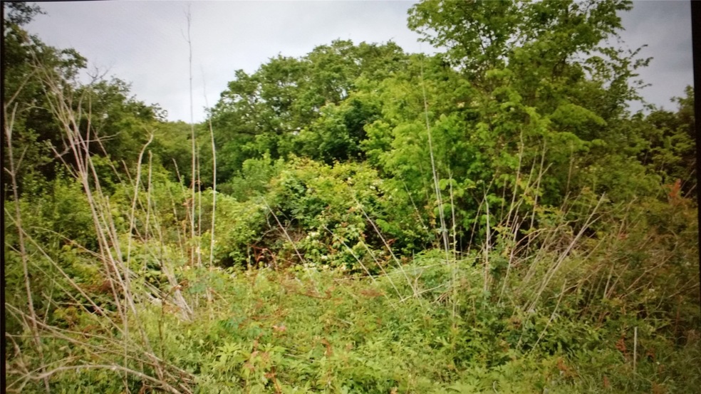 lot 9 Noveno, Brazoria, TX 77422 - photo 1