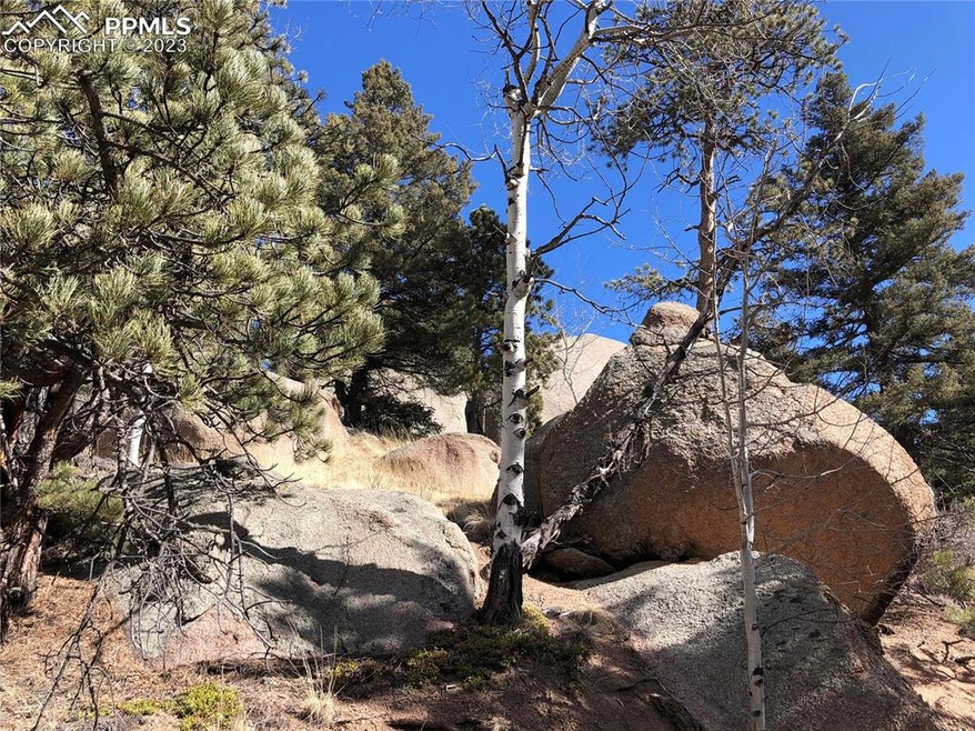 Sold  • Co-Listing Agent