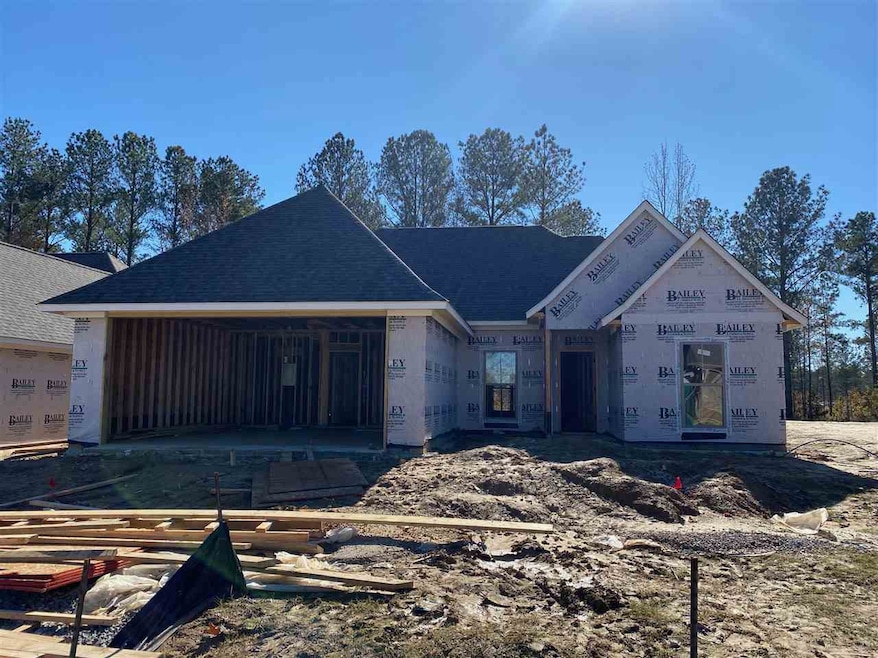 123 St Croix Ln, Madison, MS 39110 - photo 1