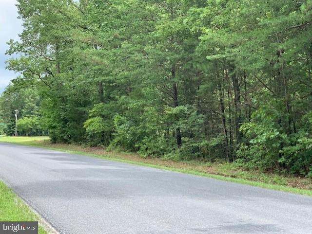 RT 614 GOVERNOR ALMO Governor Almond Rd, Locust Grove, VA 22508 - photo 1