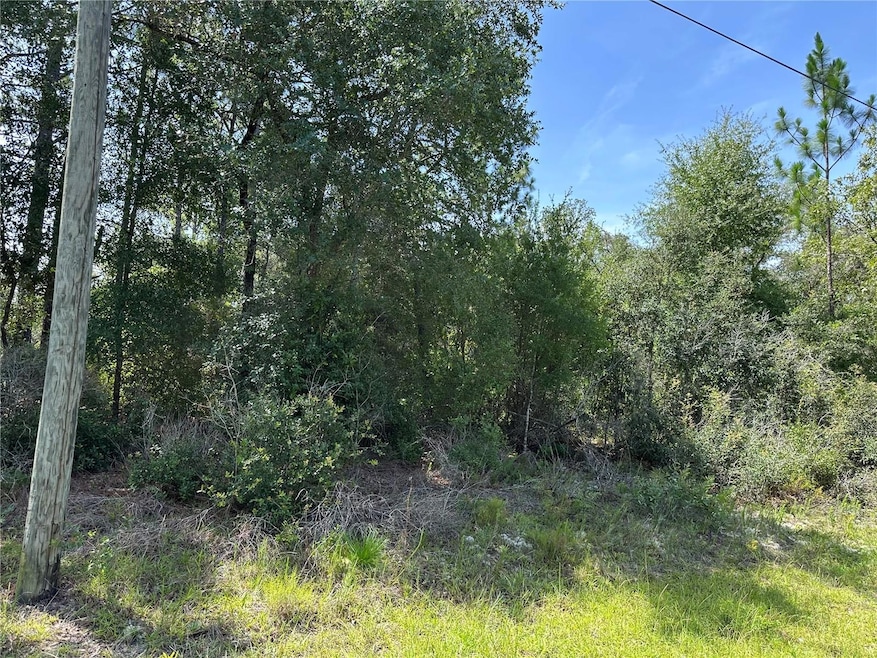 1498 E Carson Rd, Citrus Springs, FL 34434 - photo 1