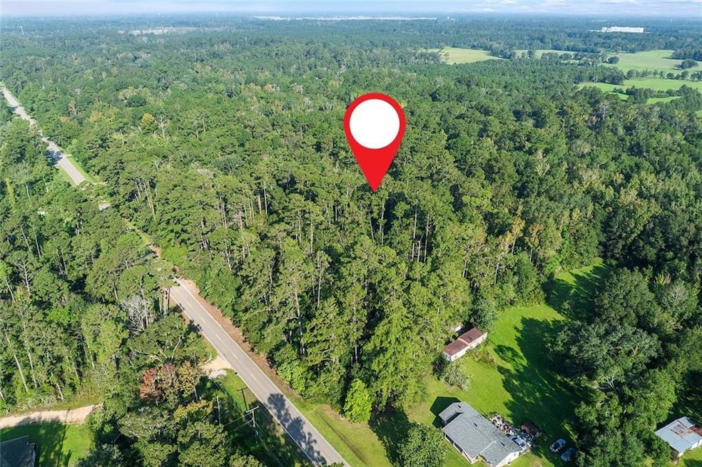 0 Old Covington Hwy unit 2491492, Hammond, LA 70403 - photo 1