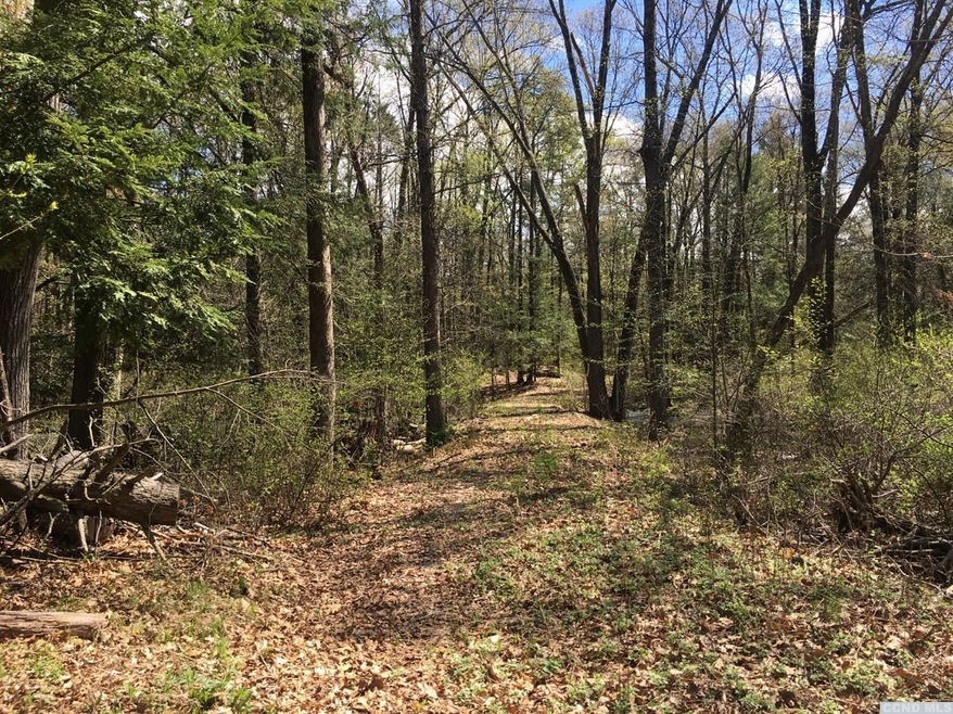 0 Grouse Run, Red Hook, NY 12571 - photo 1