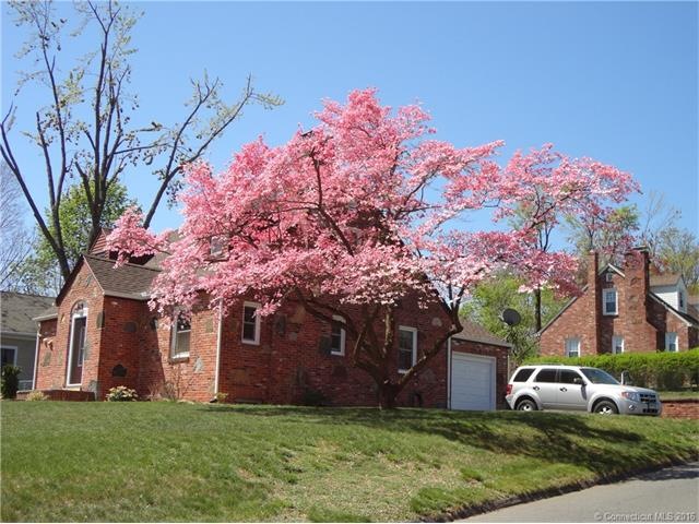 Flowering Dogwood