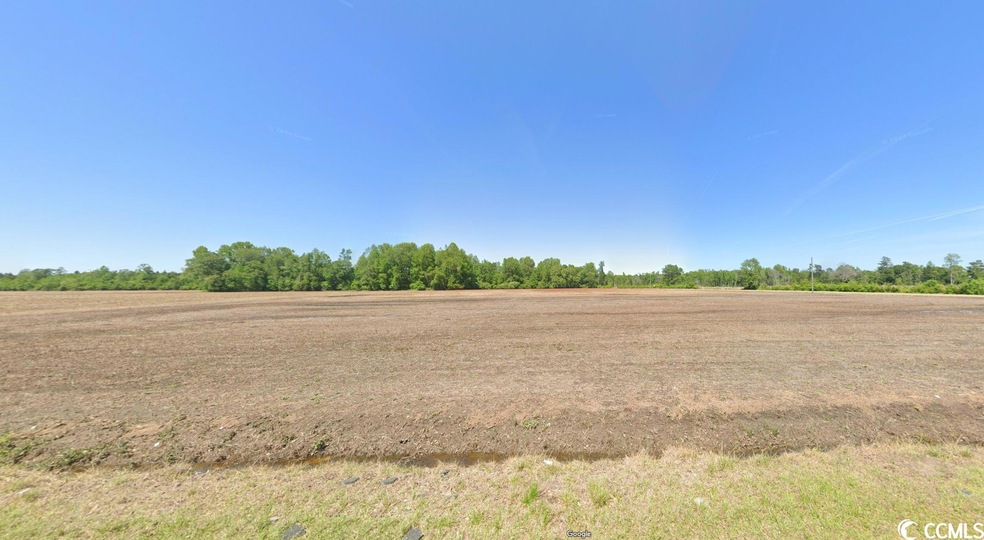3637 Bethal Chapel Rd, Loris, SC 29569 - photo 1