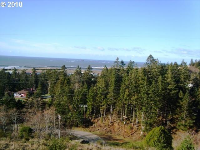 29689 Bear Mountain Rd, Gold Beach, OR 97444 - photo 1