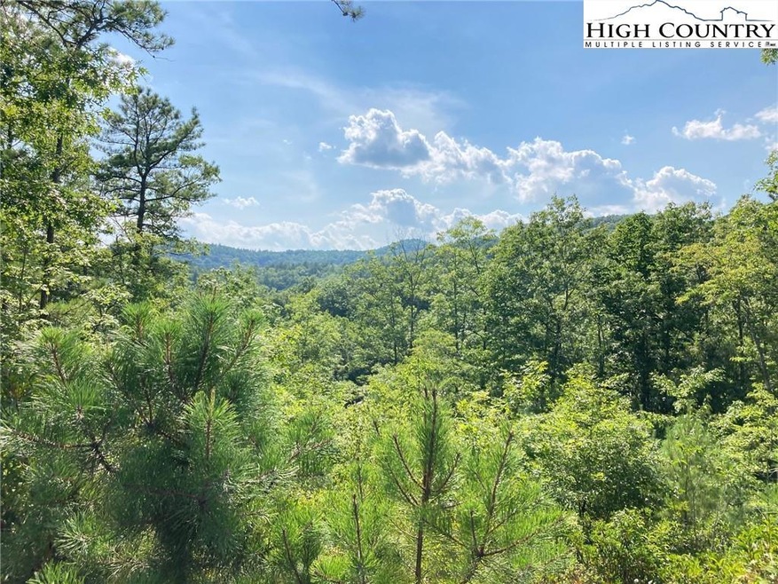 Lot 21 Lavendar Ln, Ferguson, NC 28624 - photo 1