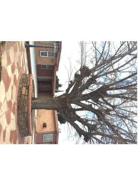 10336 Shannon Place, El Paso, TX 79925 - photo 1