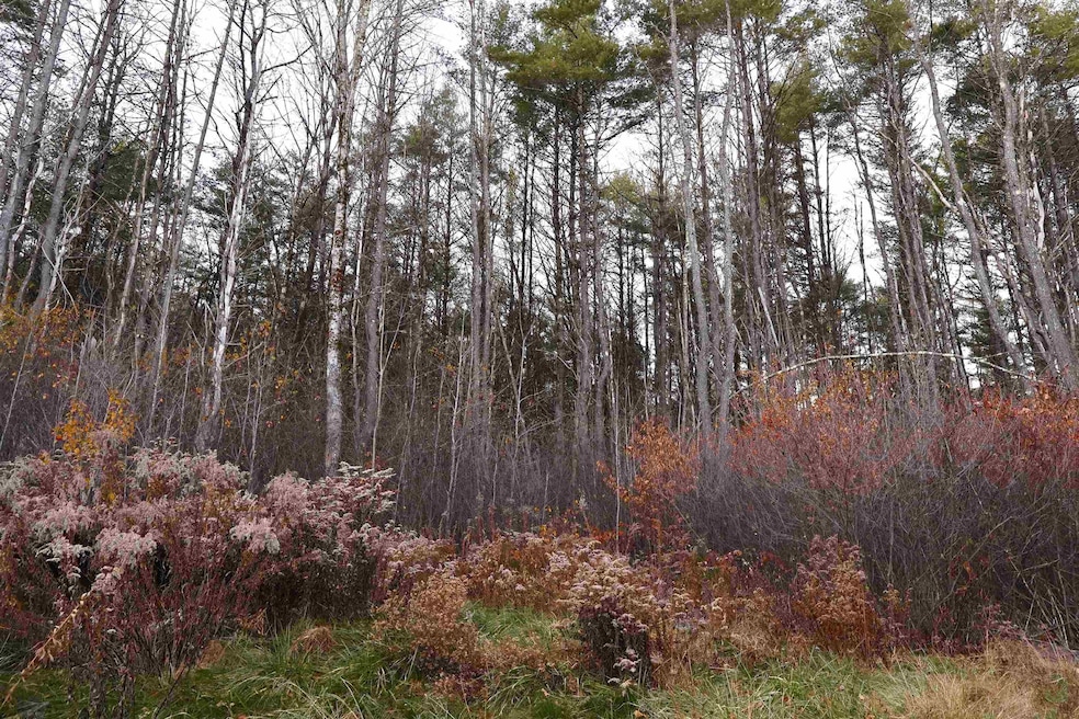 0 Us 5 South Route, Norwich, VT 05055 - photo 1