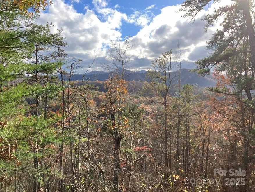 Lot 5 Osprey Mountain Way unit 5, Webster, NC 28779 - photo 1