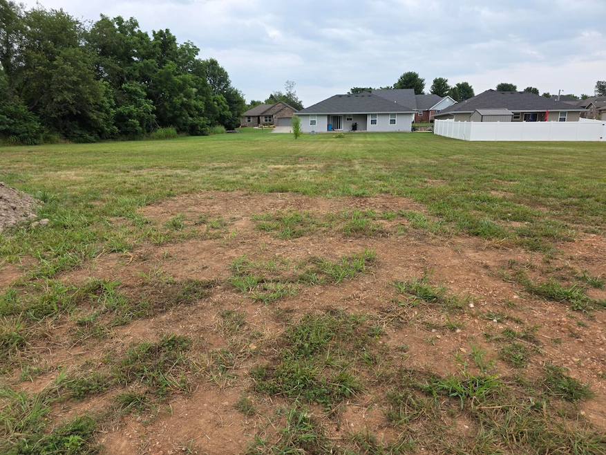 1645 Ridgemont Ave, Monett, MO 65708 - photo 1