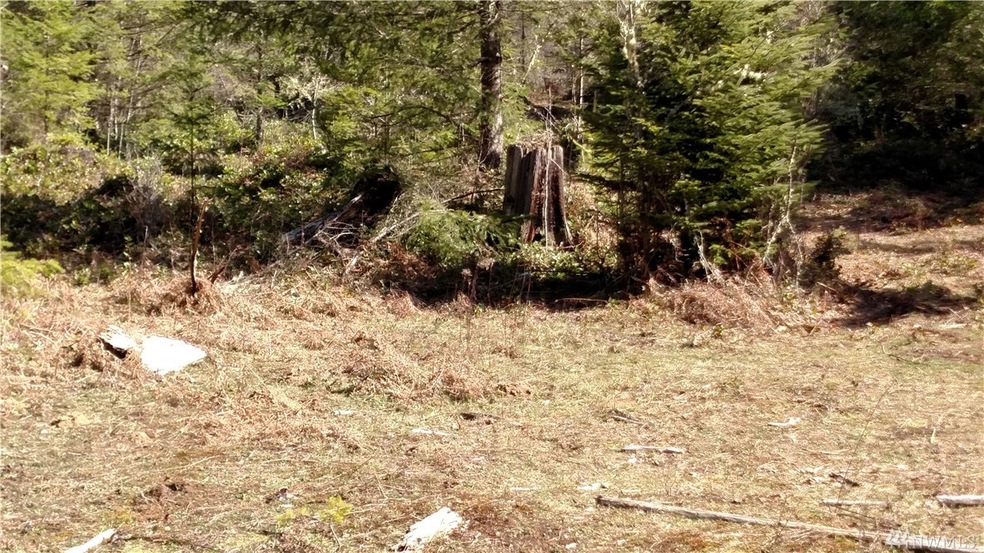 18610 232nd Ave E, Orting, WA 98360 - photo 1