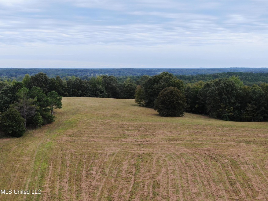 DJI_0121