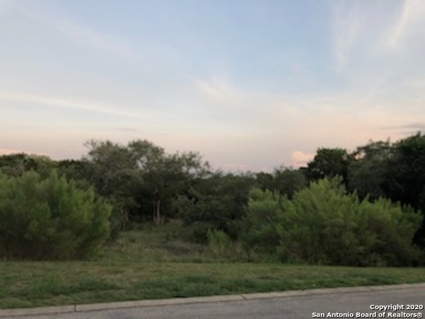 8830 Falcon Place, San Antonio, TX 78256 - photo 1