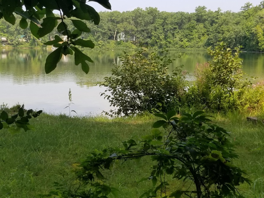 2267 W Lake Shore Dr, Bitely, MI 49309 - photo 1