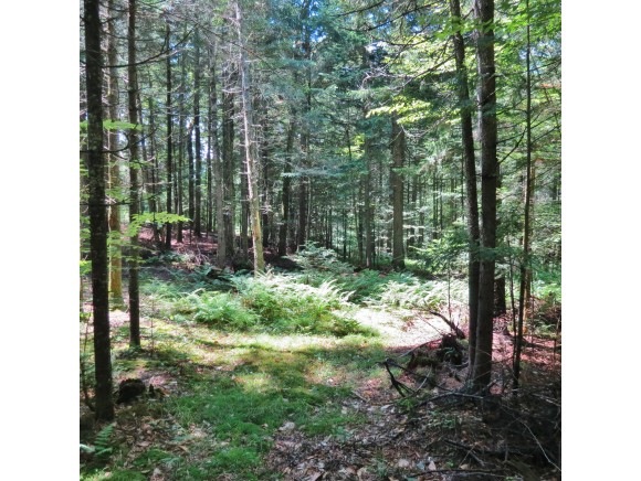 0 20 Mile Stream Rd, Cavendish, VT 05142 - photo 1