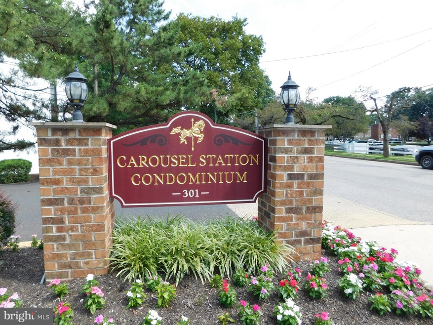 Carousel Image