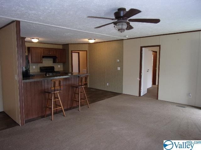 175 Liberty Cir, Prospect, TN 38477 - photo 1