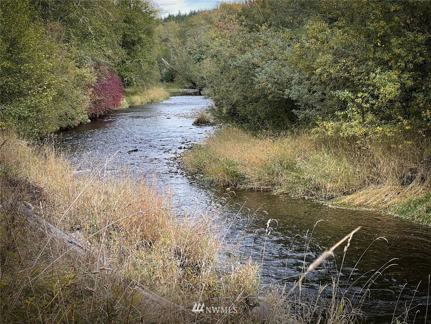 2624 State Highway 508, Onalaska, WA 98570 - photo 1