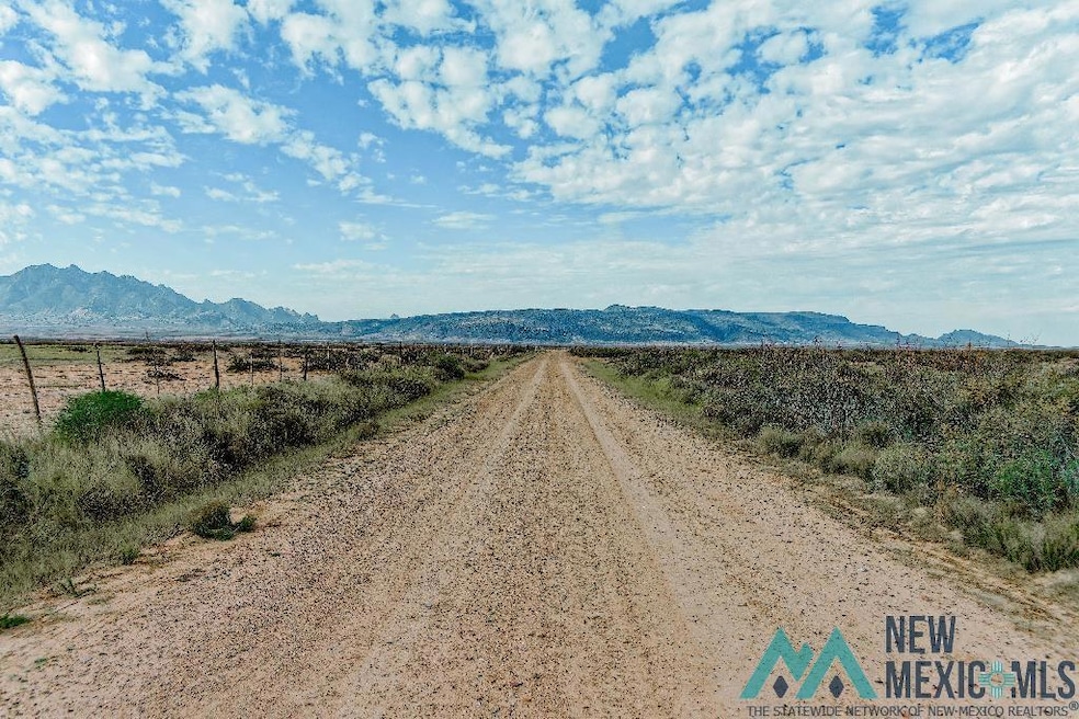 0 Siesta Rd SE unit 20235794, Deming, NM 88030 - photo 1