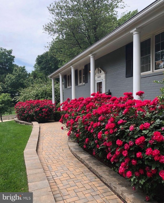 9038 Ashmeade Dr, Fairfax, VA 22032 - photo 1