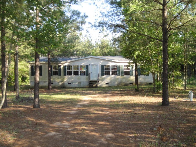 Main View