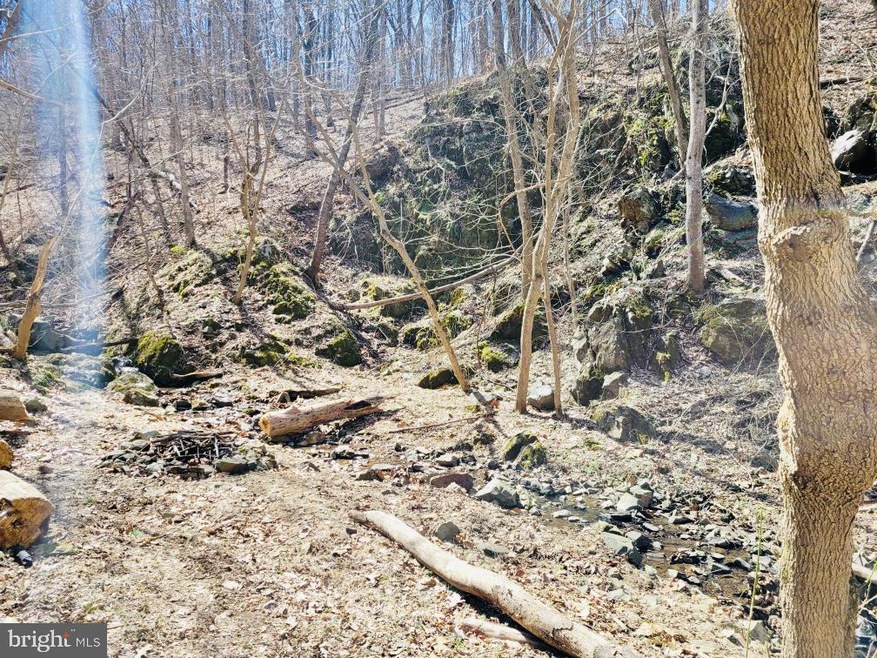 6782 Browntown Rd, Front Royal, VA 22630 - photo 1