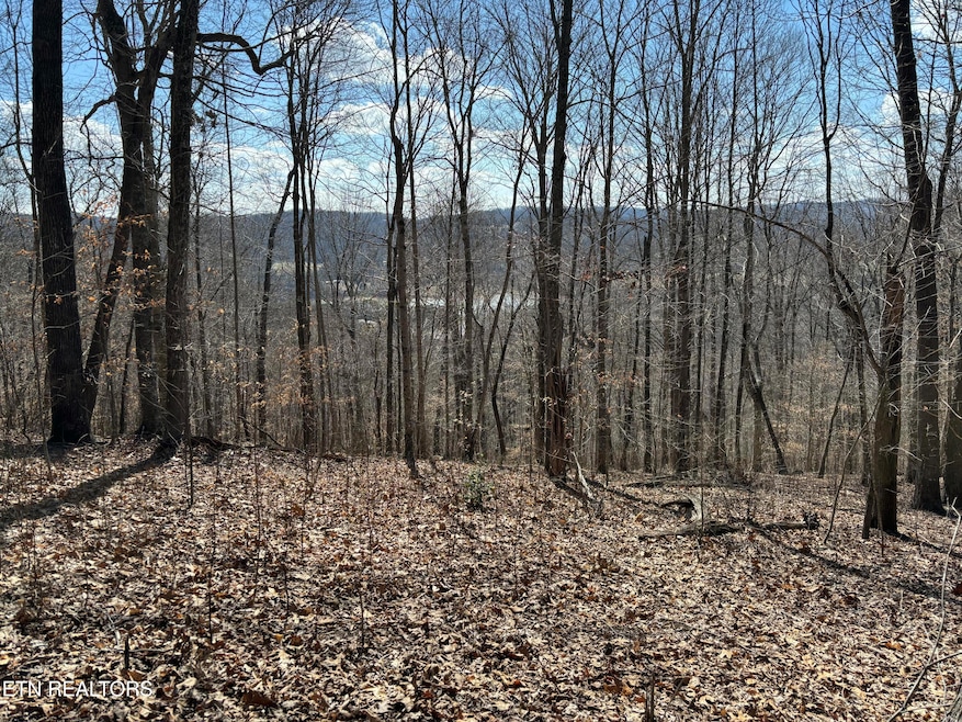New picture Highland Trace