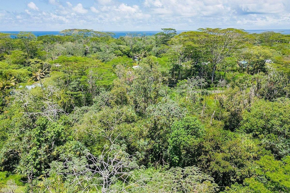 0 S Nenue St unit 725902, Pahoa, HI 96778 - photo 1