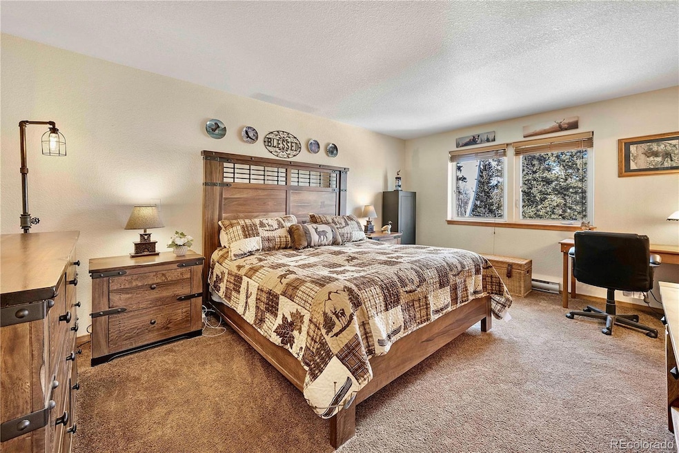 47 Piaute Way, Como, CO 80432 - photo 1