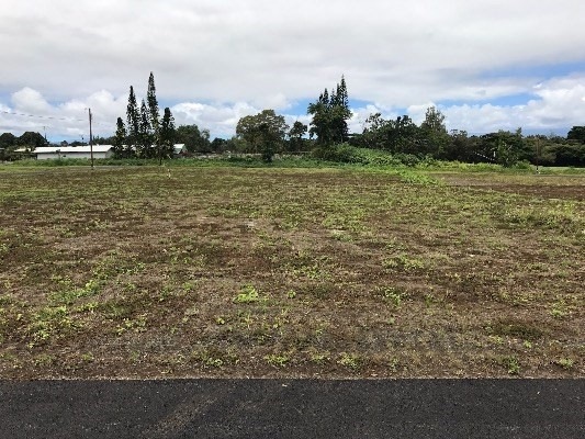 4021 Hiluhilu Place, Hilo, HI 96720 - photo 1