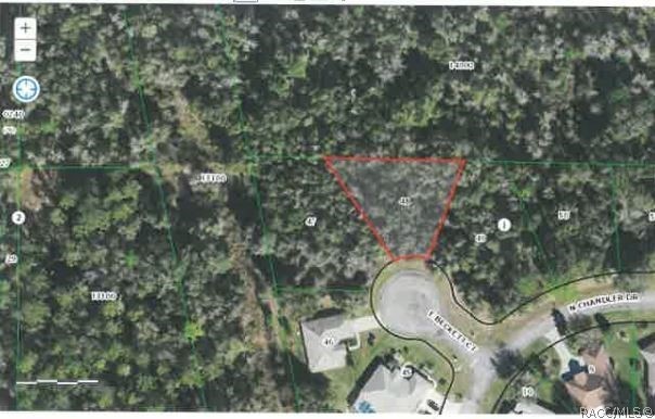 2495 E Beckett Ct, Hernando, FL 34442 - photo 1